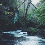 resized_37_fallback